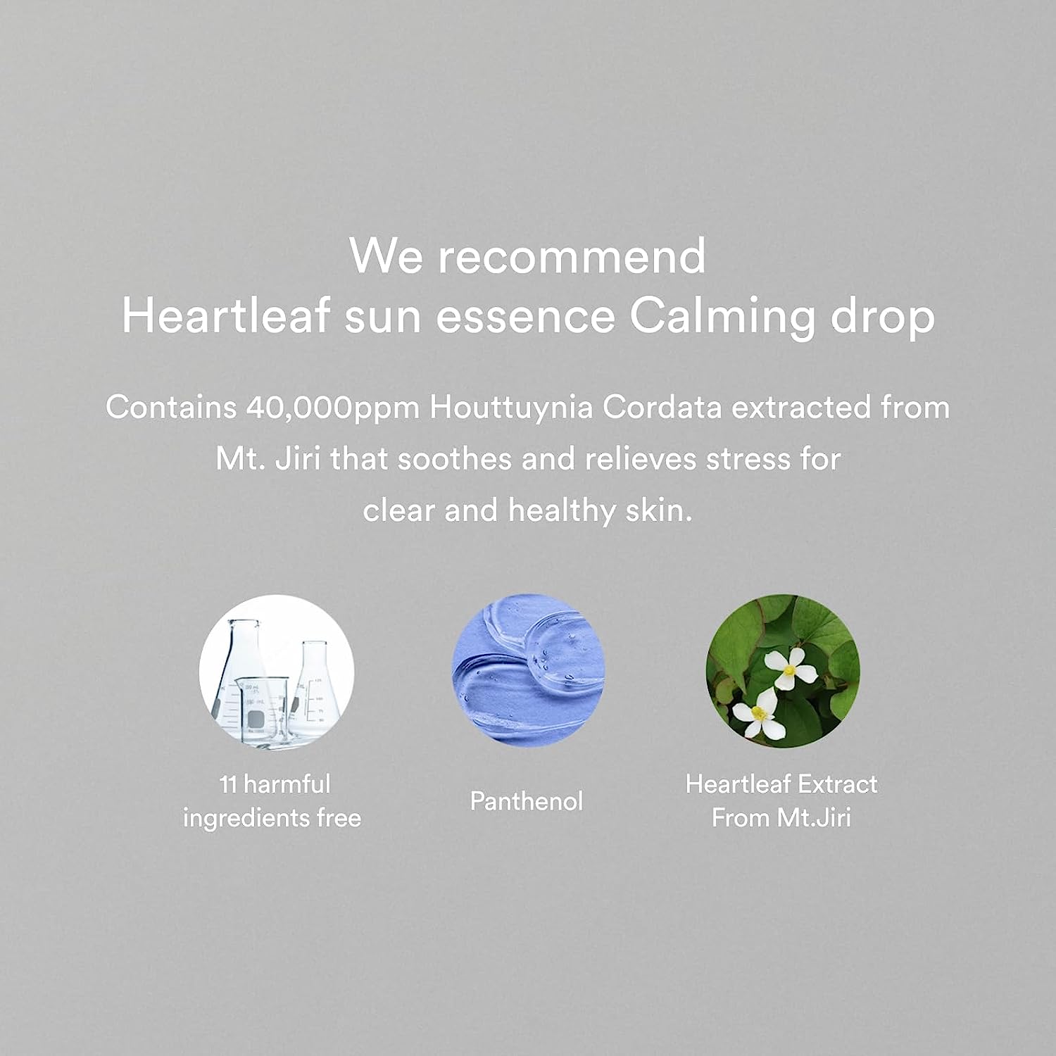 [Abib] Heartleaf Sun Essence Calming Drop 50ml Wepremiumng